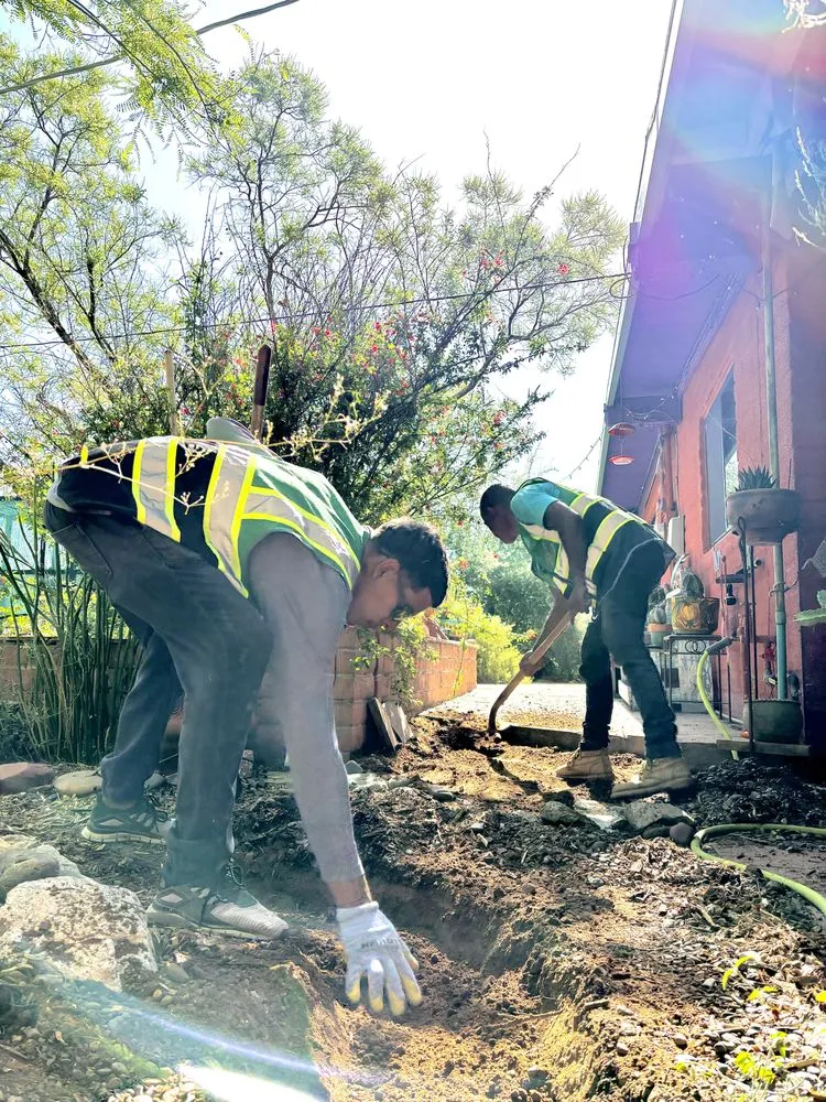 Trusted garden landscaping experts serving Tucson, AZ - Cultiva