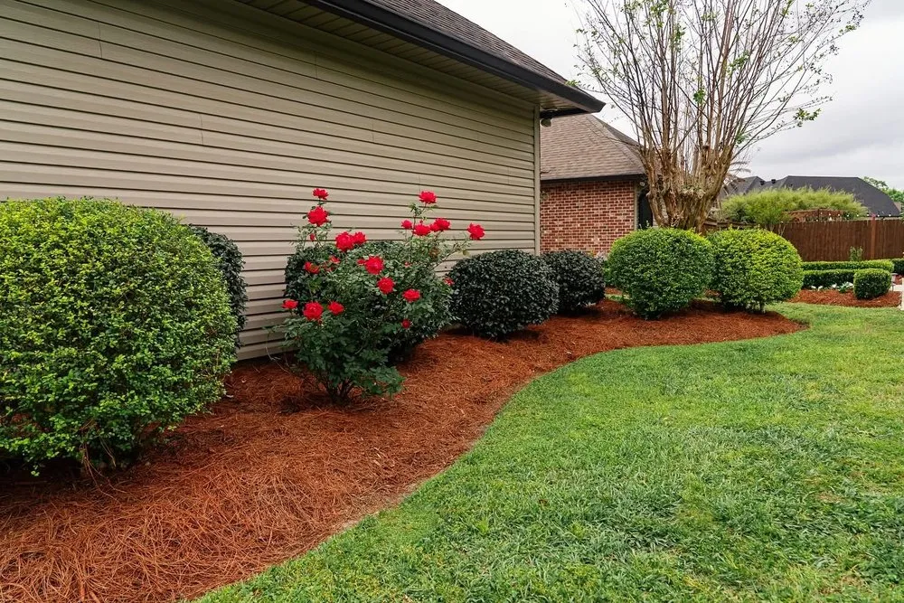 Reliable outdoor landscaping in Covington, LA - Cultivate Landscape