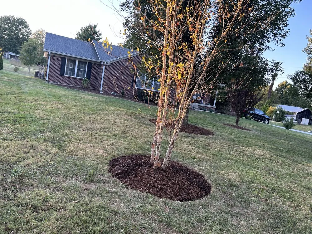 Trusted outdoor landscaping for outdoor upgrades in Lawrenceburg, KY by Cultivated Lawn Care