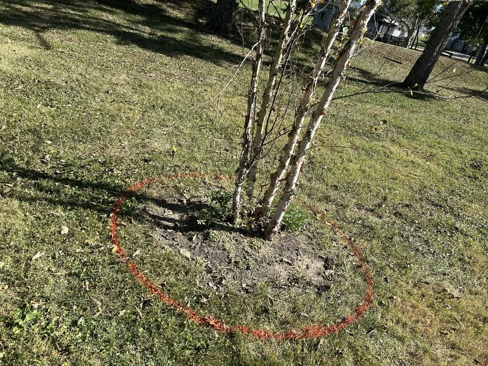 Top-rated outdoor landscaping experts serving Lawrenceburg, KY - Cultivated Lawn Care