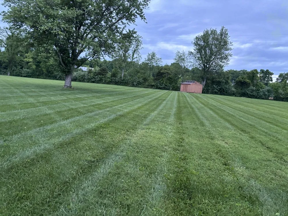 Top-rated yard cleanup service in Lawrenceburg, KY - Cultivated Lawn Care
