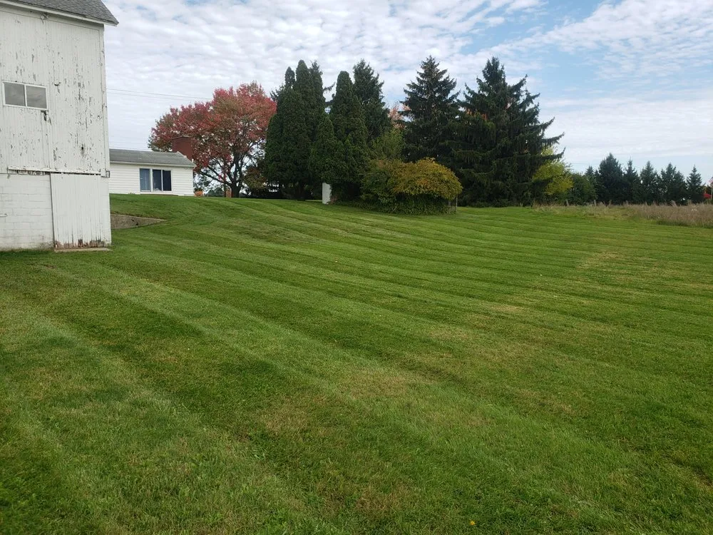 Trusted lawn care service for outdoor upgrades across Richland, MI - Cultivating Dreams