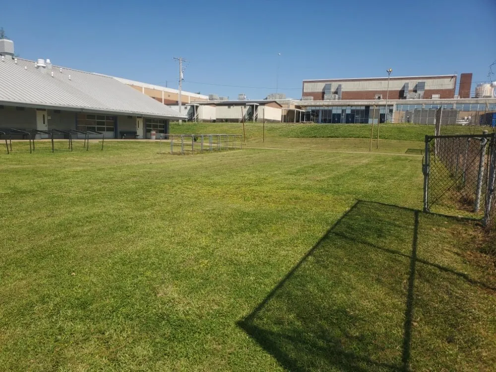 Expert yard cleanup service for homes in Jackson, MS by Culture Lawn and Landscaping