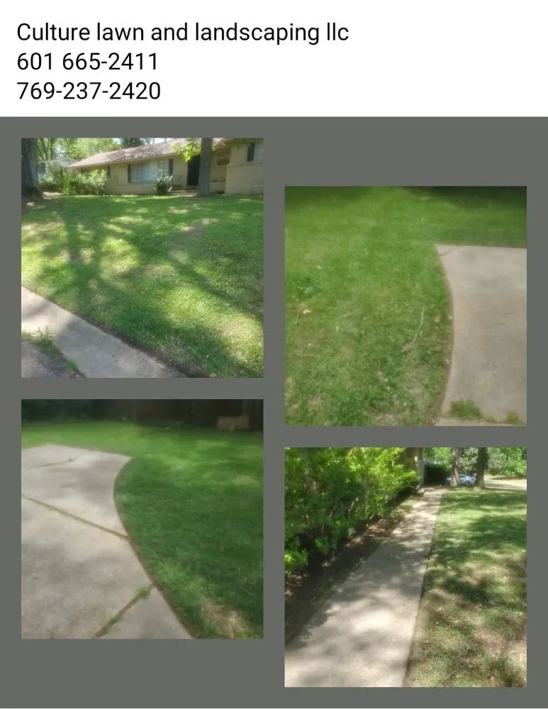 Expert outdoor landscaping in Jackson, MS by Culture Lawn and Landscaping