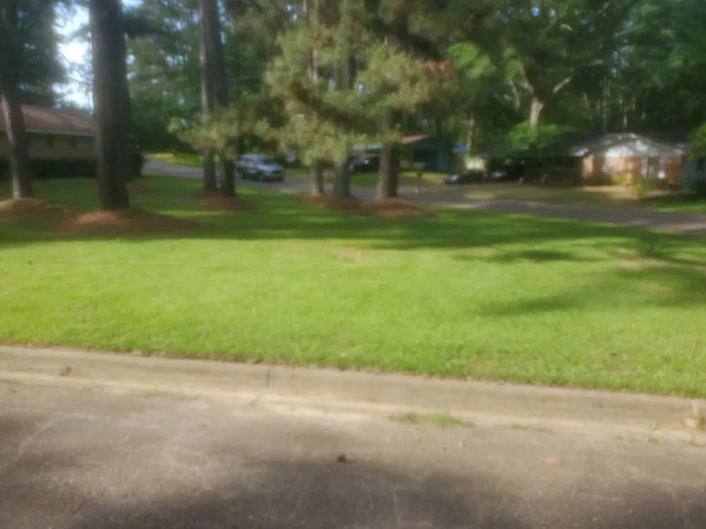 Professional yard maintenance in Jackson, MS - Culture Lawn and Landscaping