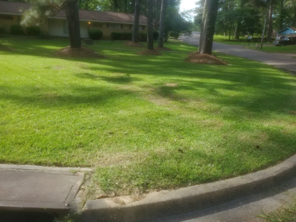 Affordable residential landscaping in Jackson, MS by Culture Lawn and Landscaping