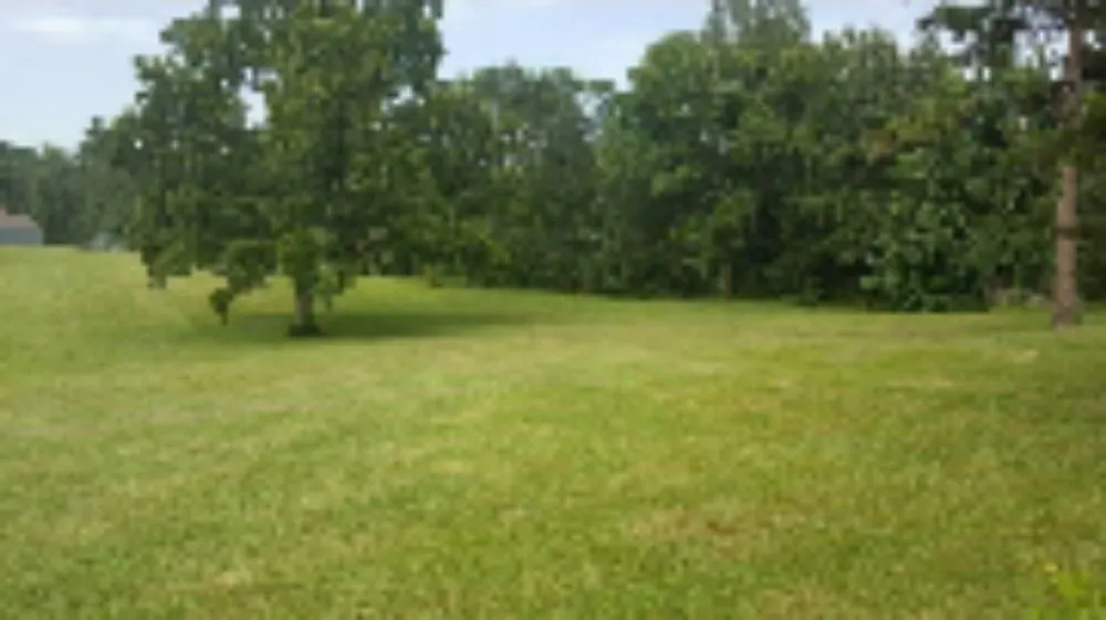 Expert garden landscaping for residential properties across Jackson, MS - Culture Lawn and Landscaping