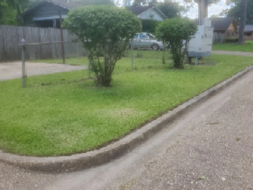 Affordable yard maintenance near you in Jackson, MS by Culture Lawn and Landscaping