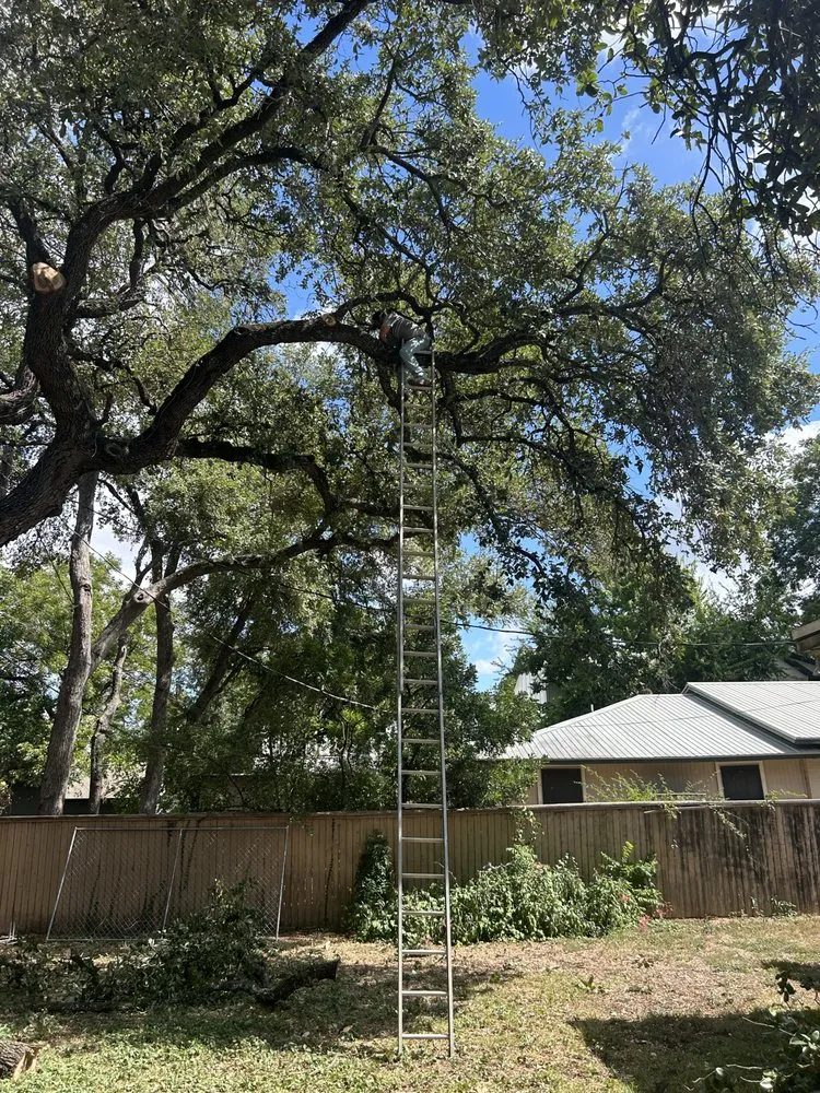 Top-rated landscape design in Liberty Hill, TX by Culture Scapes ATX