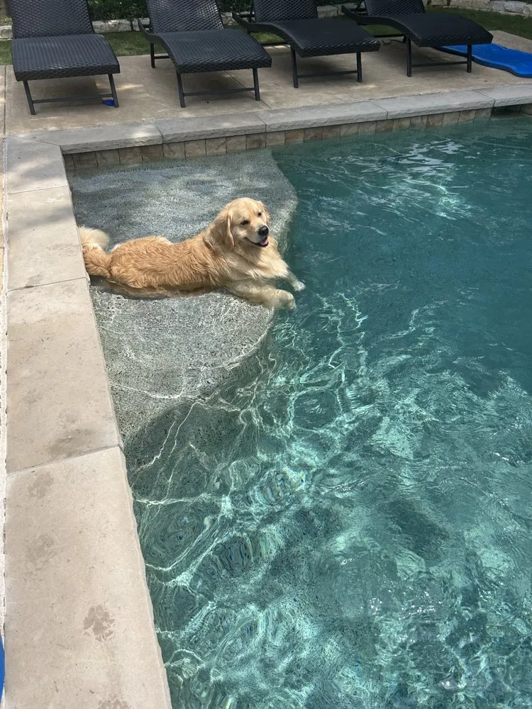 Reliable yard maintenance experts serving Liberty Hill, TX - Culture Scapes ATX