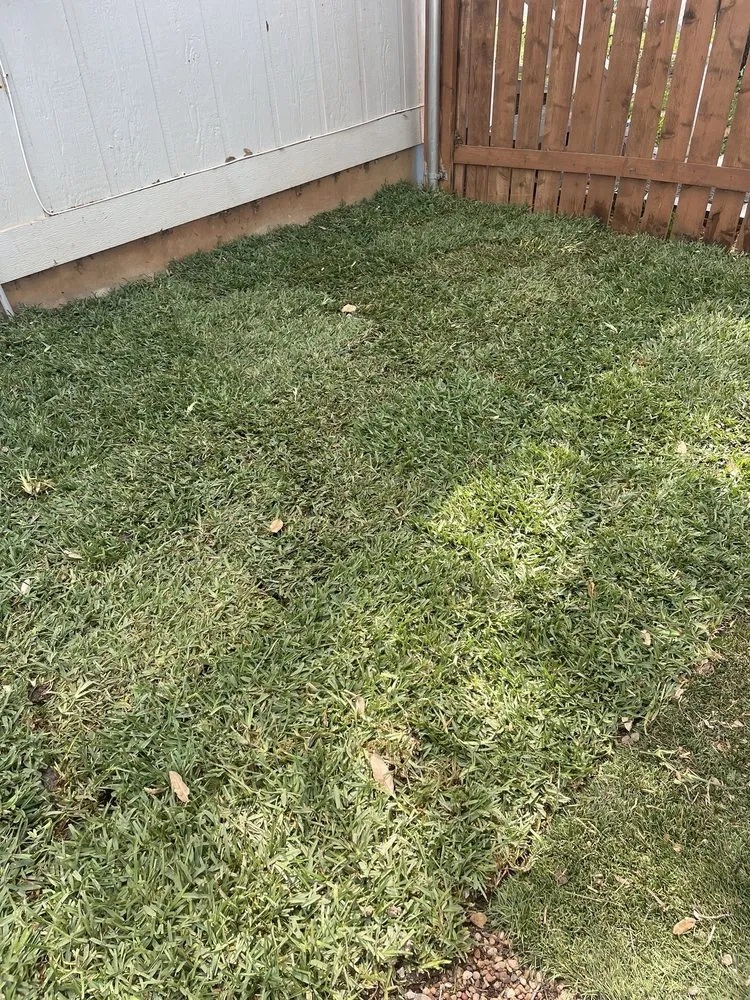 Top-rated landscaping services experts serving Liberty Hill, TX - Culture Scapes ATX