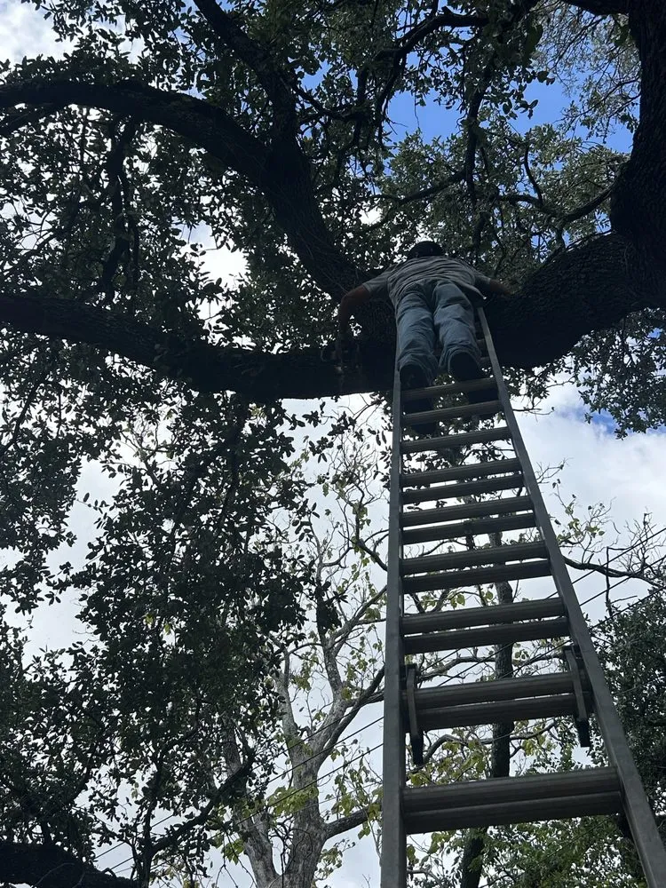 Top-rated landscaping services experts serving Liberty Hill, TX - Culture Scapes ATX