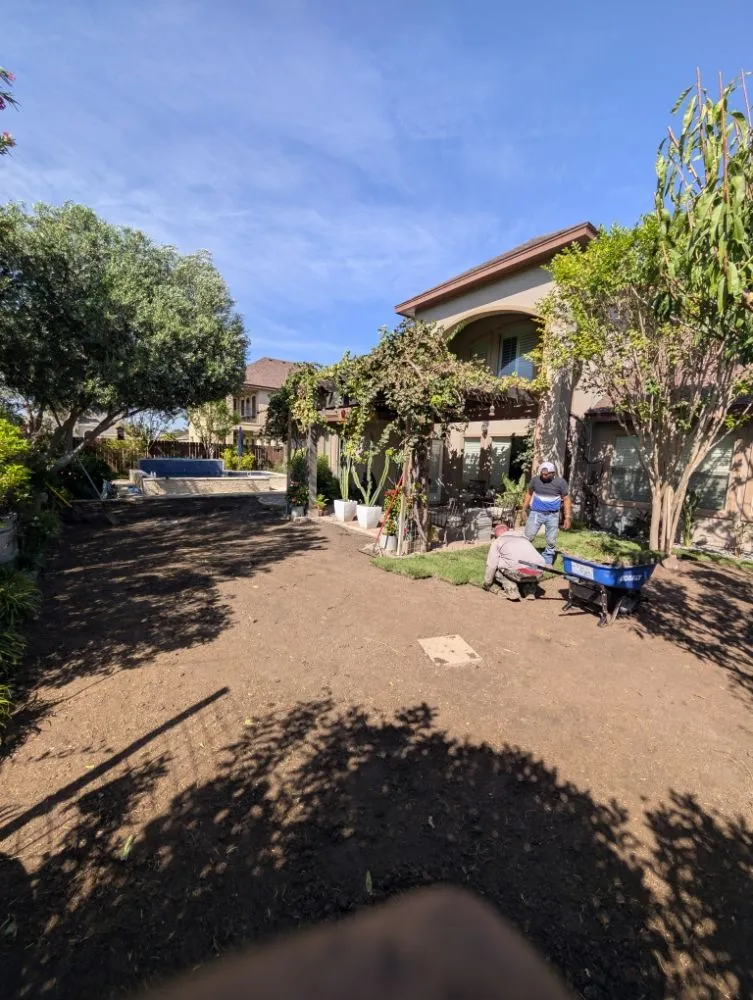 Expert lawn care service with custom design across mcallen, TX - Culture Tree Trimming