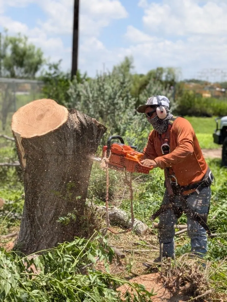 Local garden landscaping for residential properties across mcallen, TX - Culture Tree Trimming