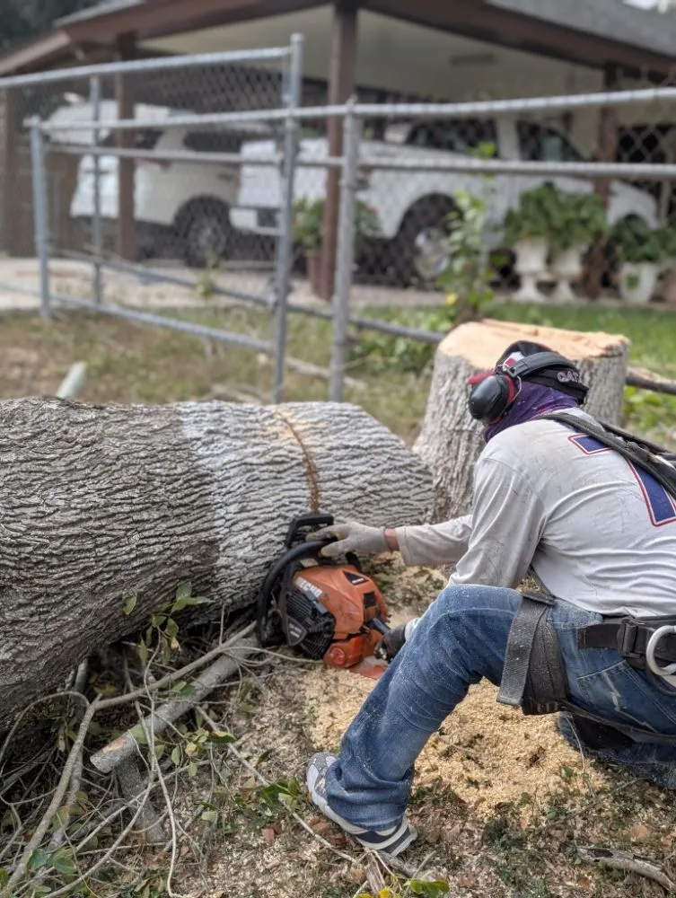 Custom residential landscaping experts serving mcallen, TX - Culture Tree Trimming