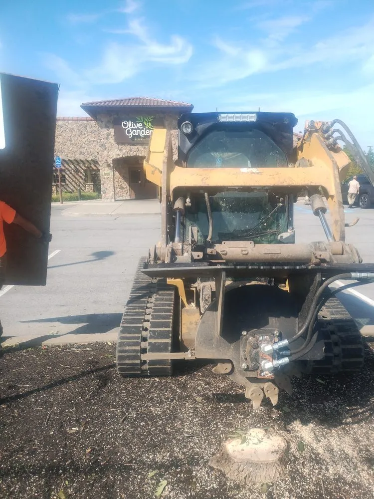 Reliable lawn care service in Depew, NY by Cultured Landscaping