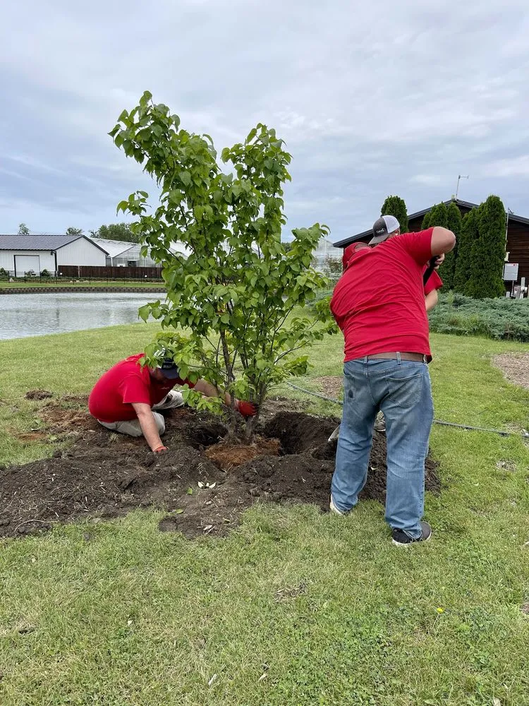 Local yard cleanup service in Marion, IA - Culver's Lawn & Landscape