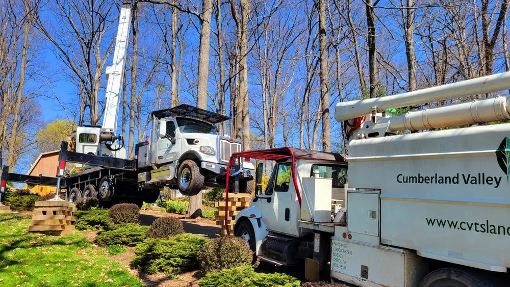 Professional landscape installation for residential properties across Carlisle, PA - Cumberland Valley Tree Service-Landscaping