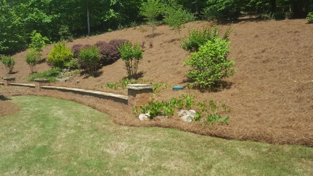 Top-rated garden landscaping in Cumming, GA - Cumming Lawn Service