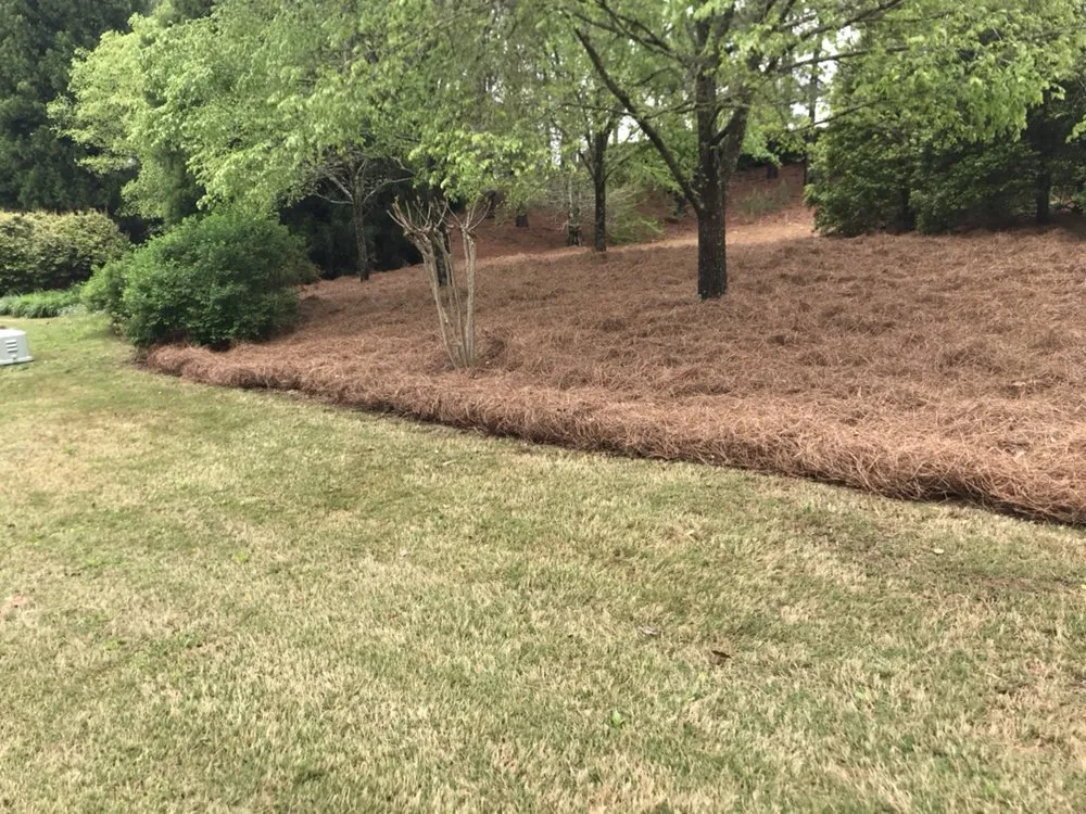Expert landscape design experts serving Cumming, GA - Cumming Lawn Service