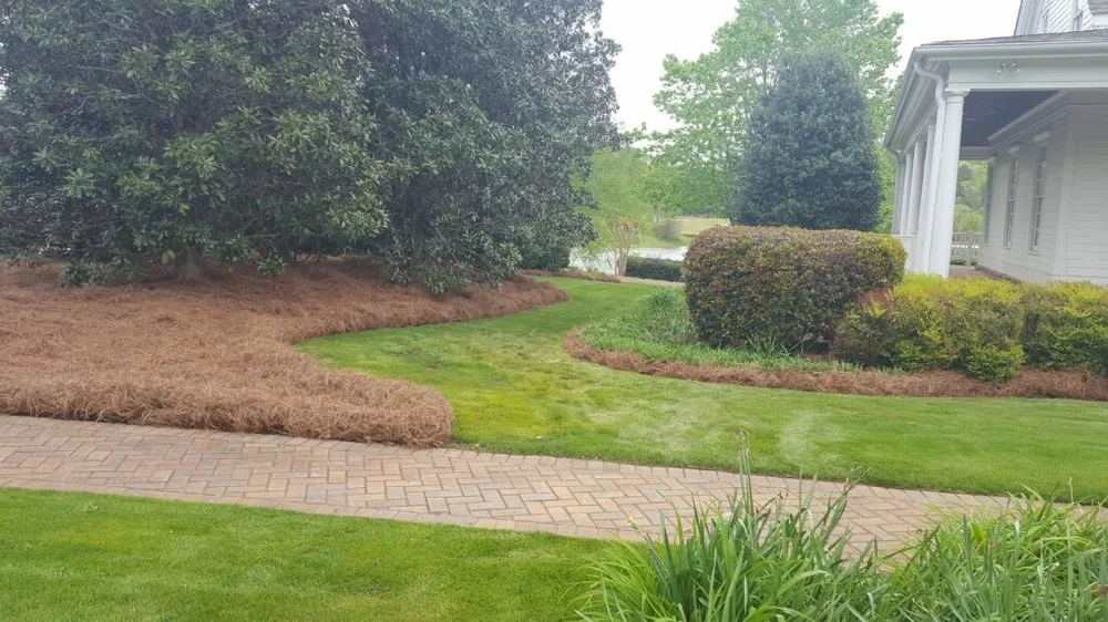 Professional yard maintenance in Cumming, GA - Cumming Lawn Service