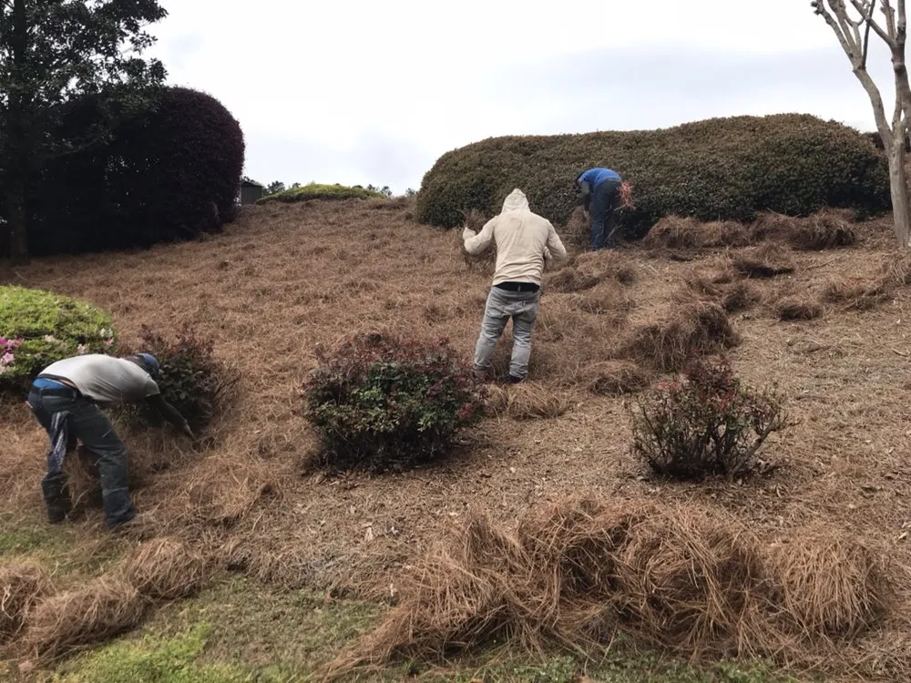 Expert landscape installation in Cumming, GA - Cumming Lawn Service