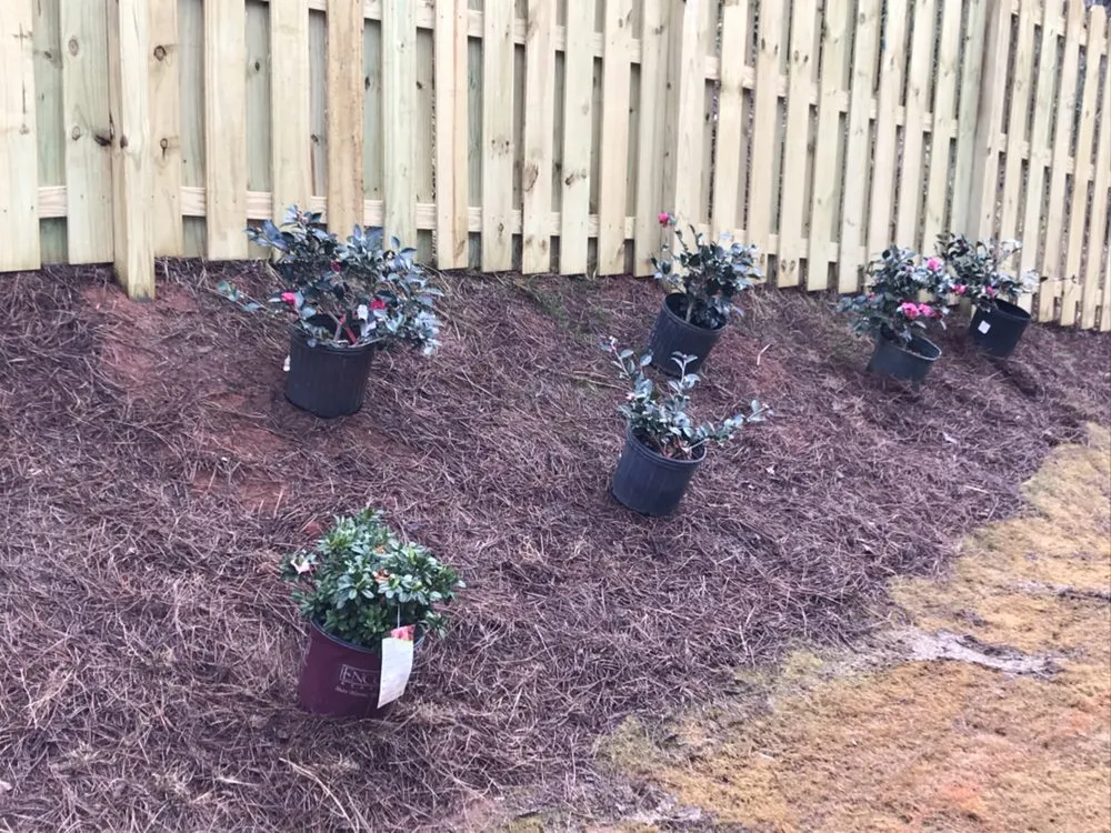 Expert landscaping services for residential properties across Cumming, GA - Cumming Lawn Service