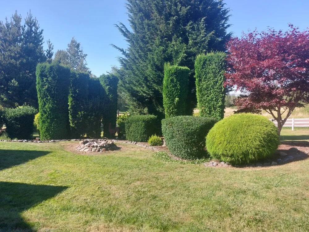 Local landscape installation near you in Lynden, WA by Cummings Concrete
