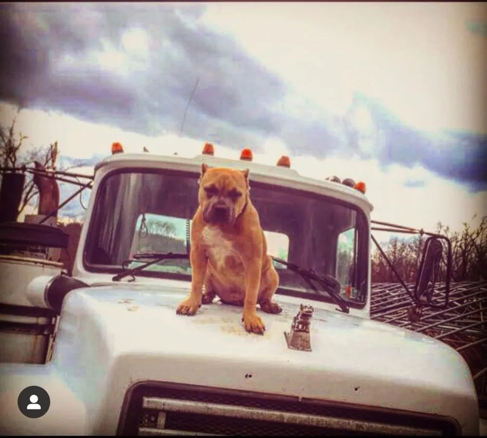 Reliable landscaping services experts serving Indiana, PA - Cummings Contracting