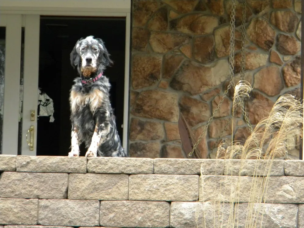 Affordable outdoor landscaping in Indiana, PA - Cummings Contracting