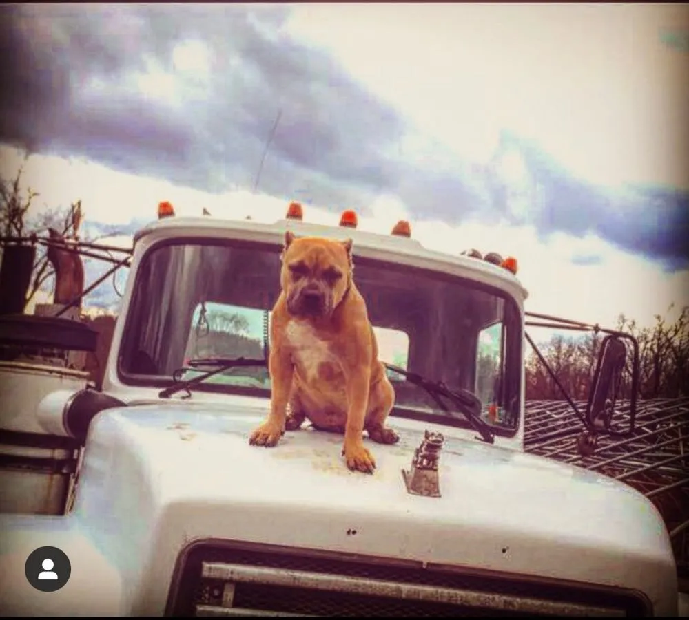 Local landscaping services in Indiana, PA - Cummings Contracting