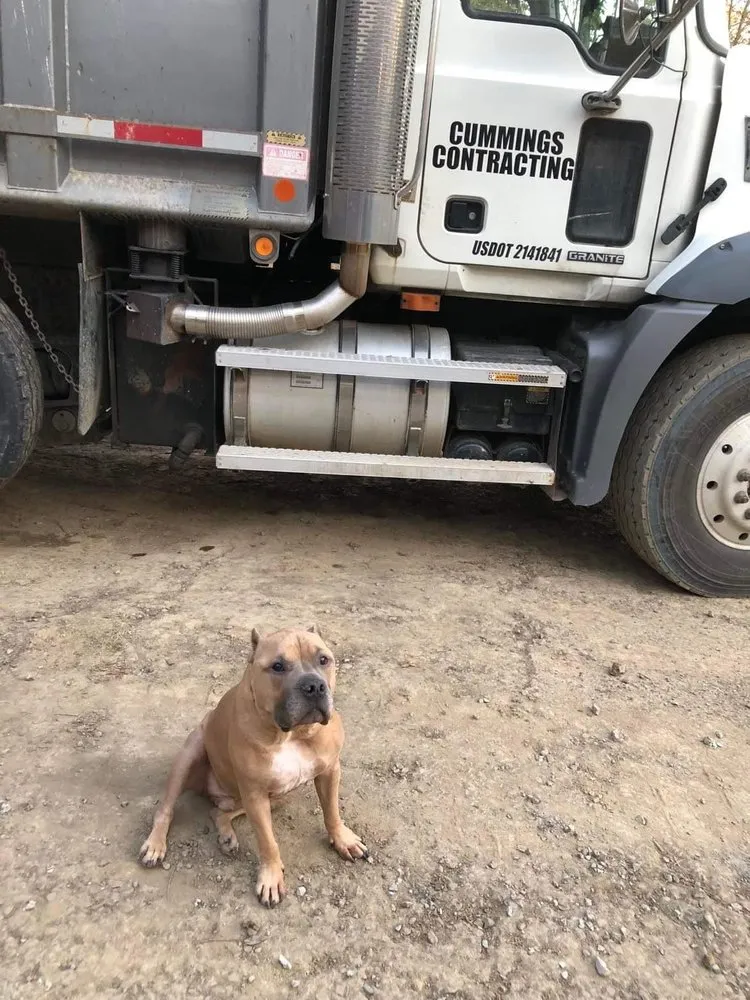 Affordable lawn care service experts serving Indiana, PA - Cummings Contracting