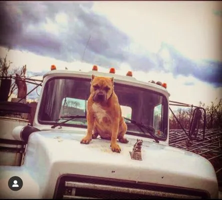 Cummings Contracting