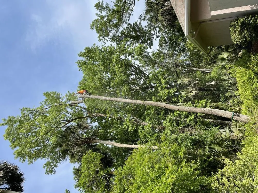 Local garden landscaping experts serving Daytona Beach, FL - Cummings Lawn & Tree Solutions