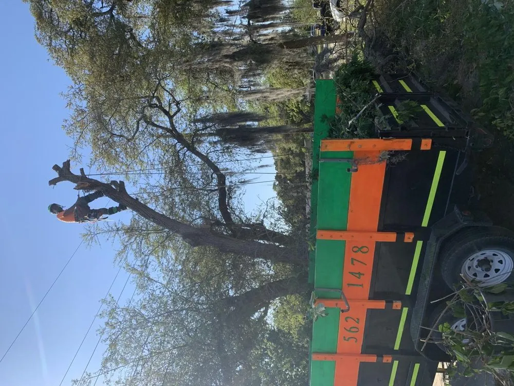 Trusted outdoor landscaping in Daytona Beach, FL - Cummings Lawn & Tree Solutions