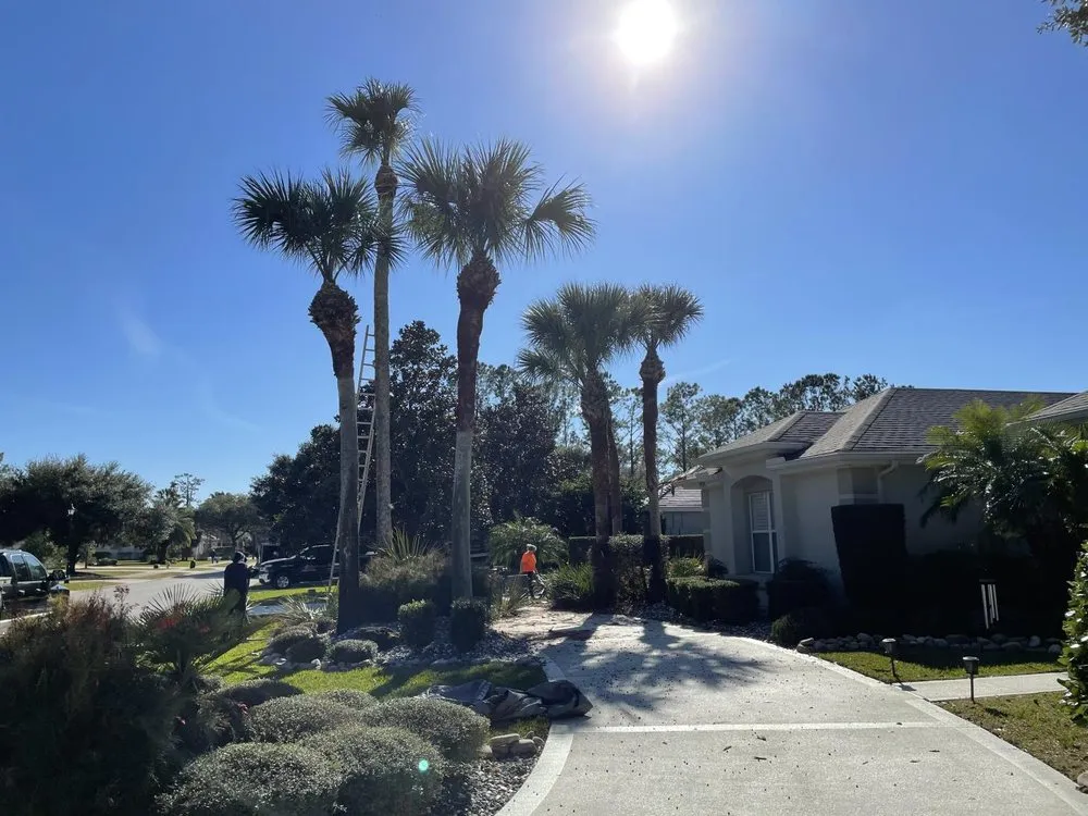 Expert lawn care service in Daytona Beach, FL by Cummings Lawn & Tree Solutions