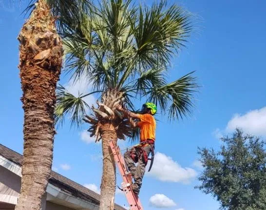 Local lawn mowing service in Daytona Beach, FL - Cummings Lawn & Tree Solutions