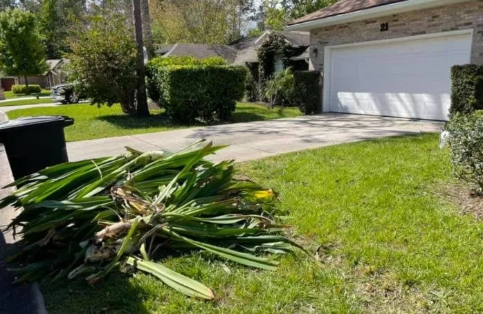 Custom yard maintenance in Daytona Beach, FL - Cummings Lawn & Tree Solutions