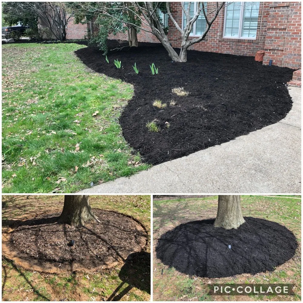 Expert lawn mowing service near you in Hopkinsville, KY by Cummings Lawn Care