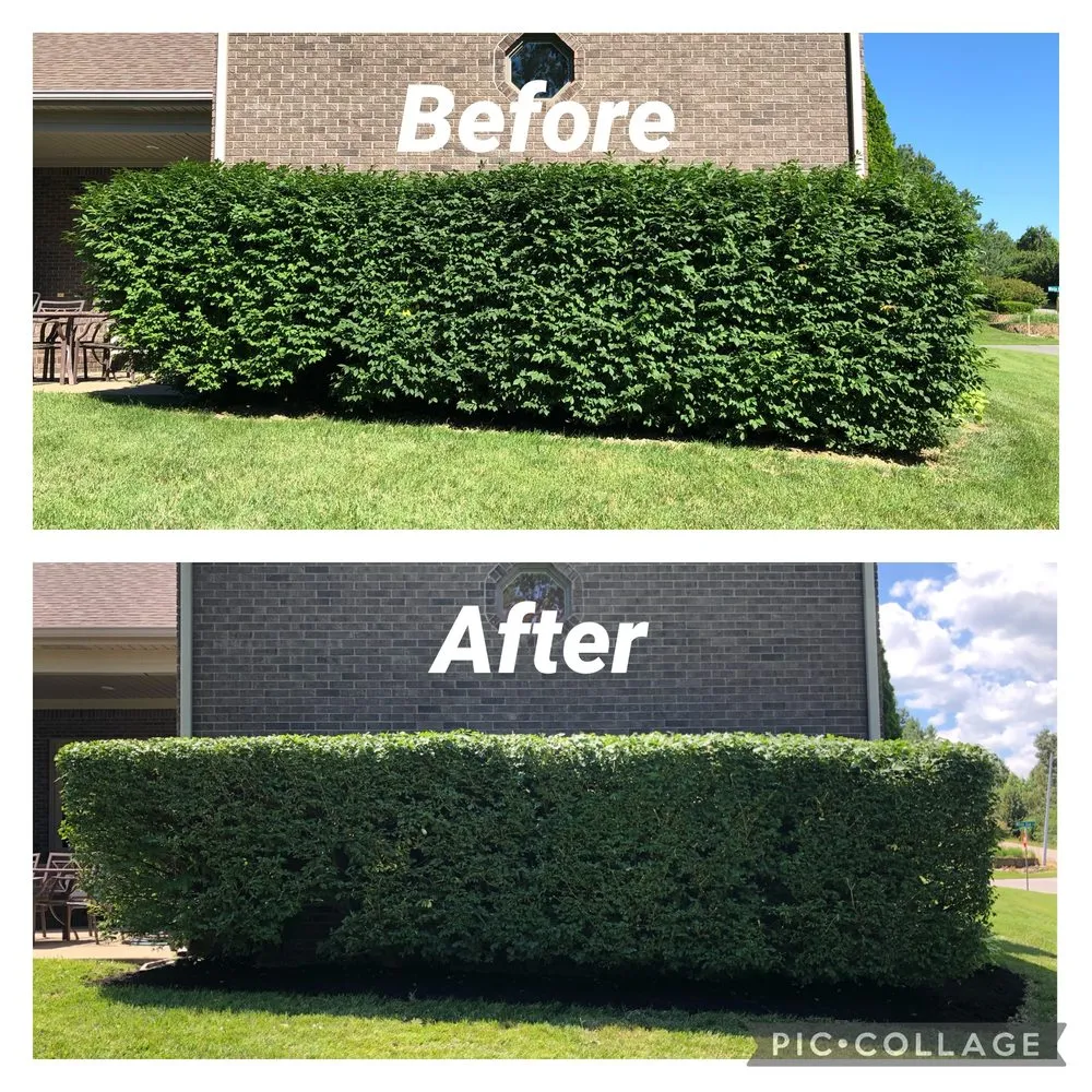 Local landscape installation in Hopkinsville, KY - Cummings Lawn Care