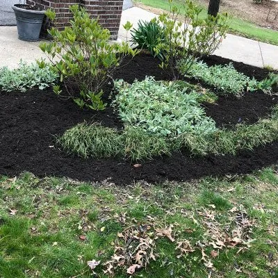 Reliable lawn care service for homes across Hopkinsville, KY - Cummings Lawn Care