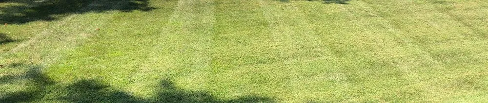 Professional landscape installation in Hopkinsville, KY by Cummings Lawn Care