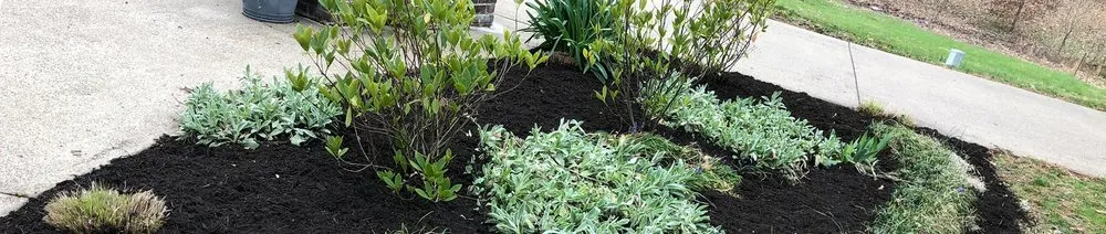 Expert yard cleanup service in Hopkinsville, KY - Cummings Lawn Care