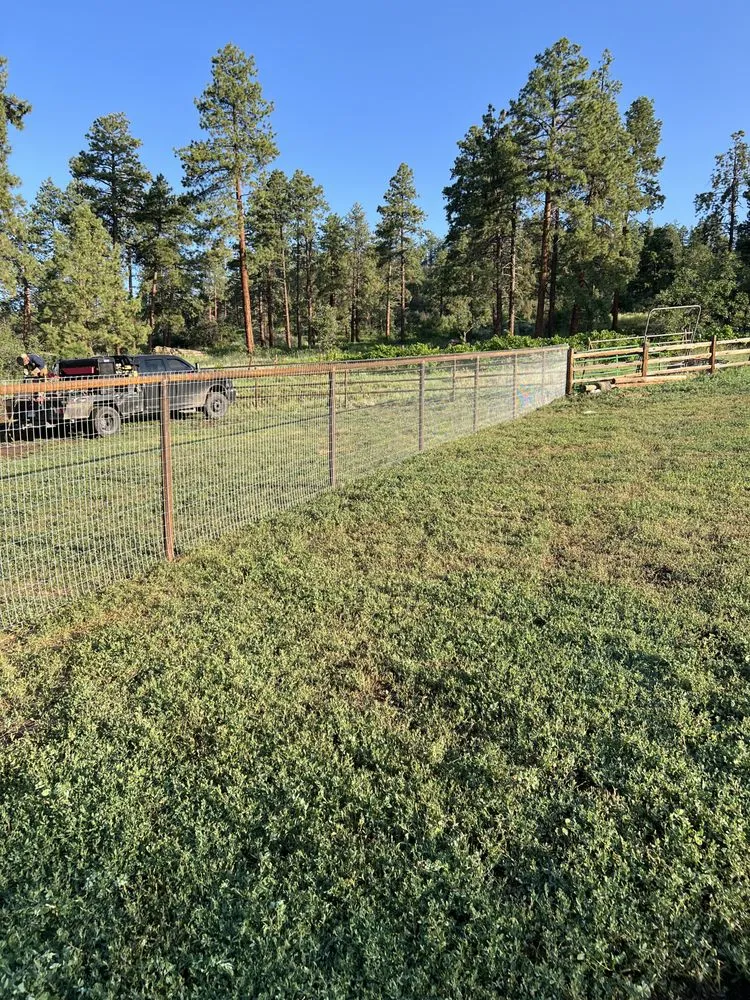 Professional yard maintenance in Ignacio, CO - Cundiff Contracting