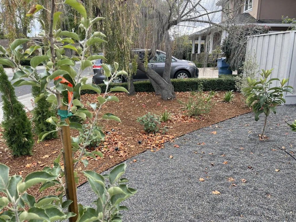 Professional yard cleanup service in Richmond, CA by Cunha Pavers
