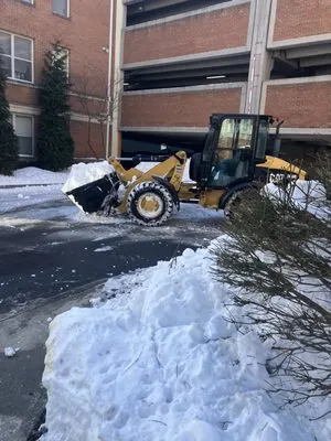 Cunniff Landscape Logo