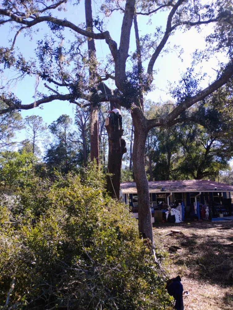 Trusted landscape installation for homes across Silver Springs, FL - Cunningham Cares