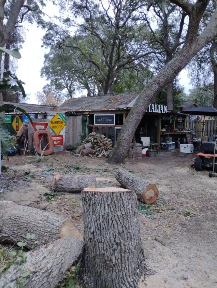 Reliable landscape design experts serving Silver Springs, FL - Cunningham Cares