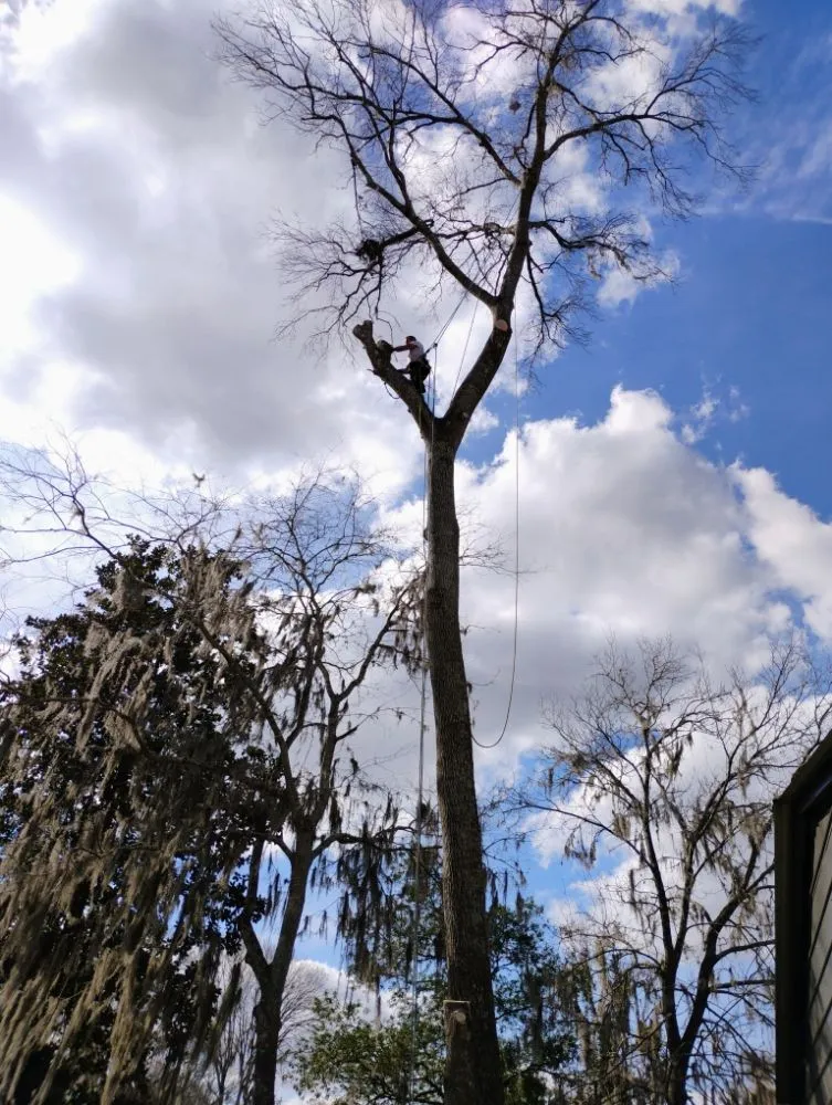 Trusted yard maintenance near you across Silver Springs, FL - Cunningham Cares