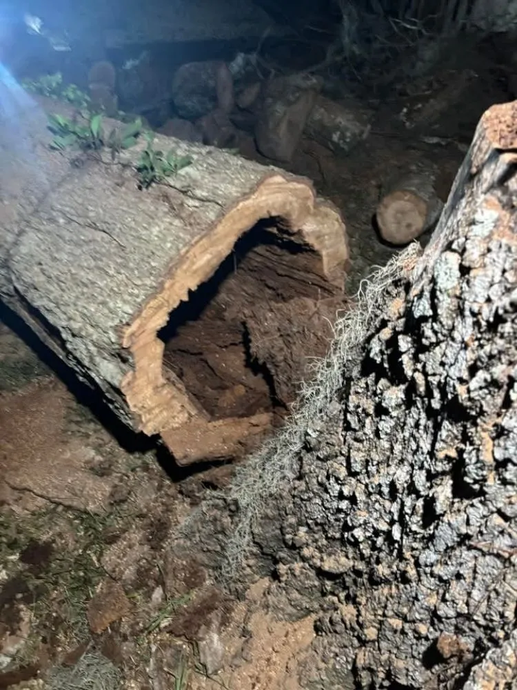 Local garden landscaping in Silver Springs, FL by Cunningham Cares